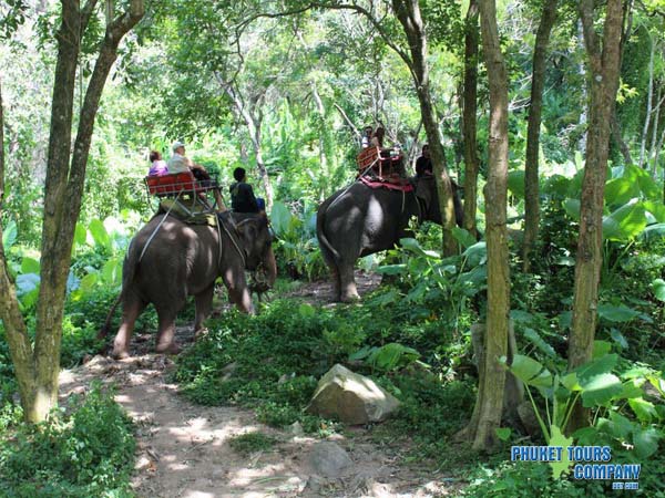 Phuket City Tour Elephant Program E1